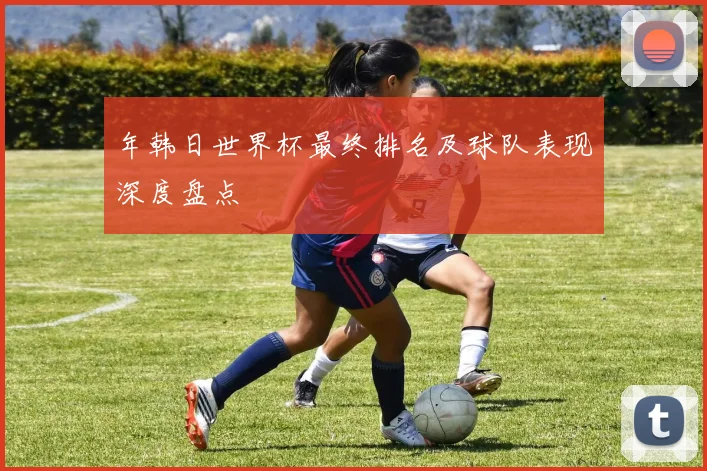 年韩日世界杯最终排名及球队表现深度盘点