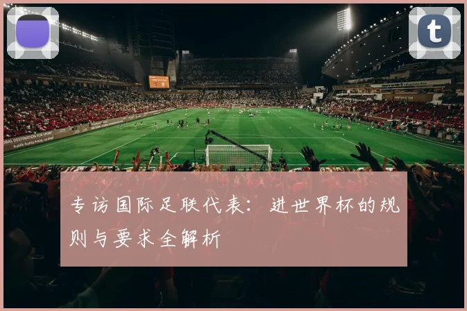 专访国际足联代表:进世界杯的规则与要求全解析